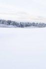 Сніговий ландшафт — стокове фото