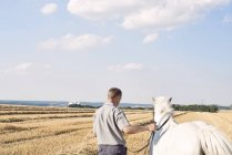 Rückansicht eines Mannes, der ein weißes Pferd auf dem Feld trainiert — Stockfoto