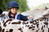 Junges Mädchen pflegt ihr Pony — Stockfoto