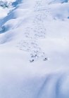 Three skiers skiing down a powder field — Stock Photo