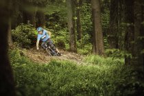 Young man mountain biking in forest — Stock Photo