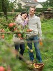 Hombre y mujer recogiendo manzanas abrazos - foto de stock