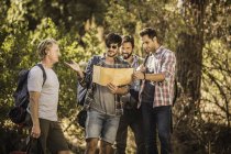 Quatre randonneurs masculins lisent des cartes en forêt, Deer Park, Cape Town, Afrique du Sud — Photo de stock