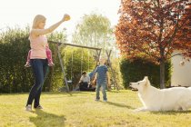 Family in sunny garden training dog — Stock Photo