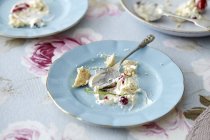 Empty plate with meringue crumbs — Stock Photo