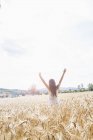 Вид сзади на молодую женщину с широкими руками на пшеничном поле — стоковое фото