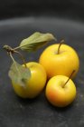 Желтые крабовые яблоки — стоковое фото