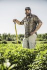 Homme barbu dans le patch de légumes appuyé contre houe regardant la caméra souriant — Photo de stock