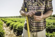 Человек в огороде пишет смс на смартфоне — стоковое фото