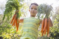 Retrato de menino no jardim segurando cachos de cenouras — Fotografia de Stock