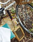 Bicycle, picnic basket and tennis racket on autumn leave covered ground — Stock Photo