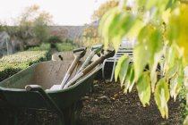 Wheelbarrow with spades in garden with green foliage — Stock Photo