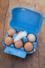 Vida morta de seis ovos castanhos em caixa azul aberta — Fotografia de Stock