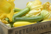 Frisch gepflückte Zucchini mit Blüten, Nahaufnahme — Stockfoto