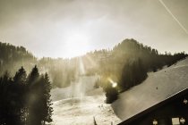Pista da sci con alberi e sole splendente, Tirolo, Austria — Foto stock