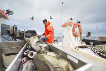 Рибалка працює на човні зі свіжою рибою на передньому плані — стокове фото