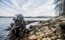 Lake with rocks and old fallen tree — Stock Photo