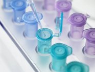 Pipette dropping solution into vial — Stock Photo