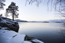 Snow-covered landscape — Stock Photo