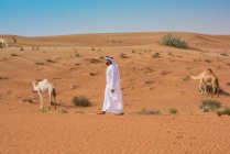 Middle eastern man wearing traditional clothes walking past camels in desert, Dubai, United Arab Emirates — Stock Photo