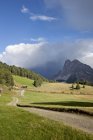 Dirt track and distant mountains, Dolomites, Plose, South Tyrol, Italy — Stock Photo
