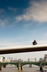 Pigeon on railing of London bridge against cloudy sky — Stock Photo