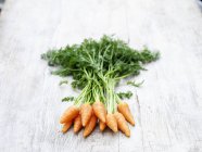 Bunch of fresh picked carrots on wood — Stock Photo