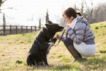 Metà donna adulta formazione il suo cane a tenere la zampa in campo — Stock Photo