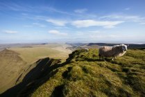 Вид з Pen у вентилятора, співпадати, провінції Powys, Уельс, Великобританія — стокове фото