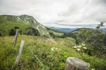 Дріт паркан на трав'янистому сільському схилі пагорба — стокове фото