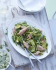 Plate of asparagus, avocado and dill salad with trout — Stock Photo