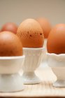 Close up shot of boiled eggs in egg cups — Stock Photo