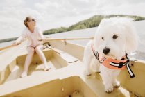 Coton de tulear dog with woman rowing in boat, Orivesi, Finland — Stock Photo