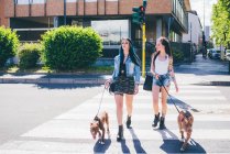 Two young women walking pit bull on pedestrian crossing in urban housing estate — Stock Photo