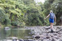 Hiker walking among stones in shallow stream, Waima Forest, North Island, NZ — Stock Photo