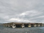 Racks of fish drying outdoor, Reykjavik, Islândia — Fotografia de Stock