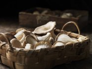 Selección de champiñones de ostra fresca en cesta - foto de stock