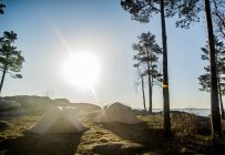 Zwei Zelte neben sonnenerleuchteten Bäumen unter blauem Himmel — Stockfoto
