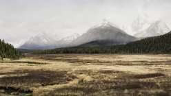 Kananaskis land, bow Valley provincial park, kananaskis, alberta, canada — Stockfoto