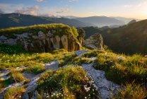 Landschaft mit Wildblumen und Felsen, Naturpark Bolschoi Thach, kaukasisches Gebirge, Republik Adygäa, Russland — Stockfoto