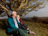 Зрелая пара, сидящая против дерева — стоковое фото