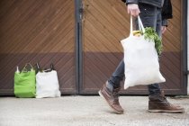 Adolescente carregando saco de compras reutilizável cheio de frutas e legumes, com garrafas para reciclagem no quintal — Fotografia de Stock