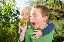 Портрет мальчика и сестры с яблоком из сада — стоковое фото
