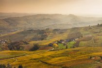 Vista elevada de valles y viñedos lejanos de otoño, Langhe, Piamonte, Italia - foto de stock