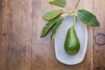 Свежий авокадо со стеблем и листьями на тарелке — стоковое фото