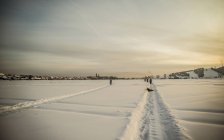 Paisaje cubierto de nieve al atardecer, Rusia - foto de stock