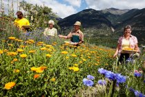 Anziani che raccolgono fiori in campo — Foto stock