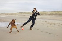 Mittlerer erwachsener Mann mit Hund spielt Fußball am Strand, bloemendaal aan zee, Niederlande — Stockfoto