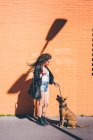 Young woman with dreadlocks looking at pit bull terrier in front of orange wall — Stock Photo