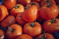 Nahaufnahme eines Haufens reifer Tomaten — Stockfoto